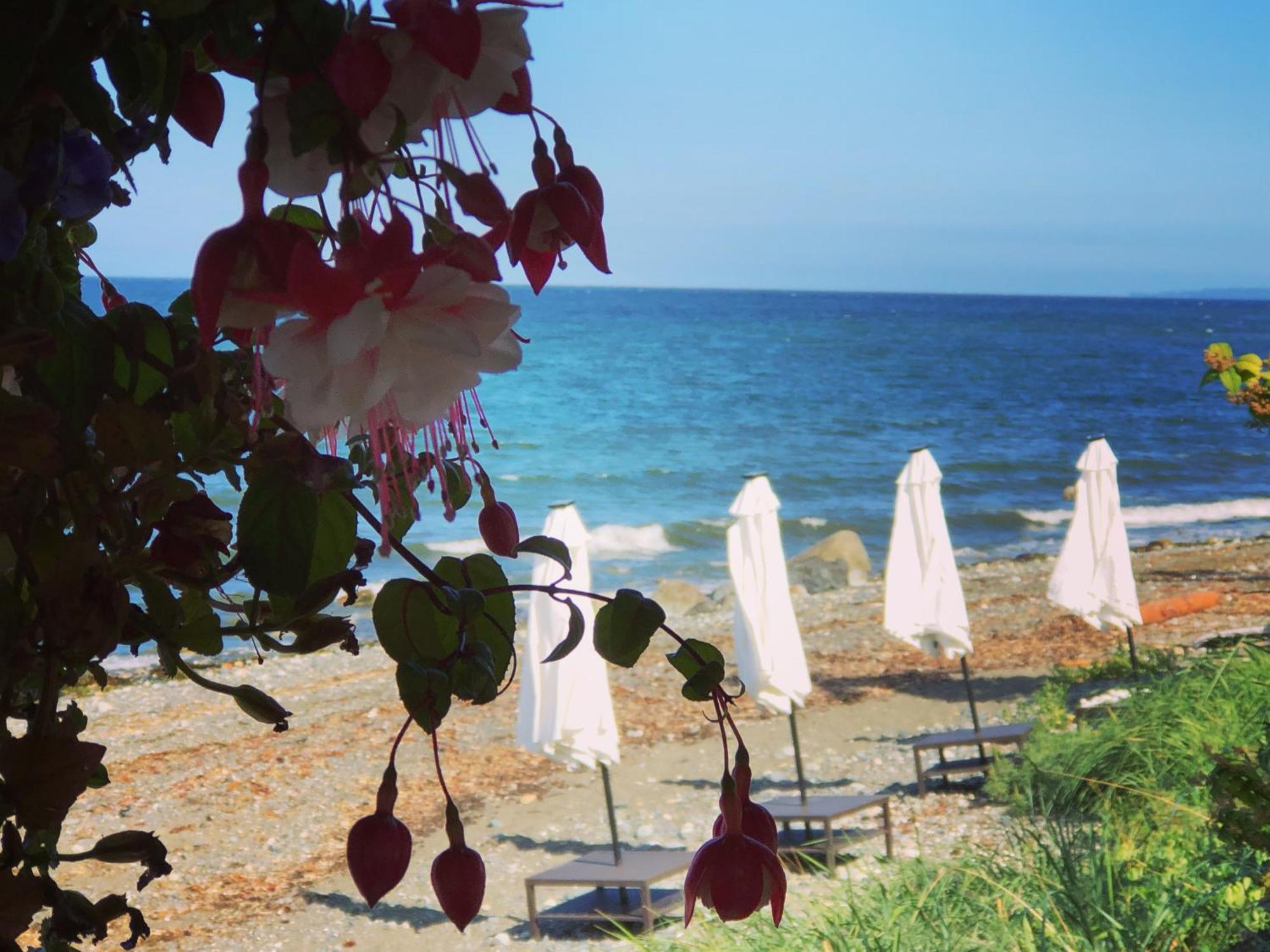 Qualicum Breeze Beach Resort Bowser 外观 照片